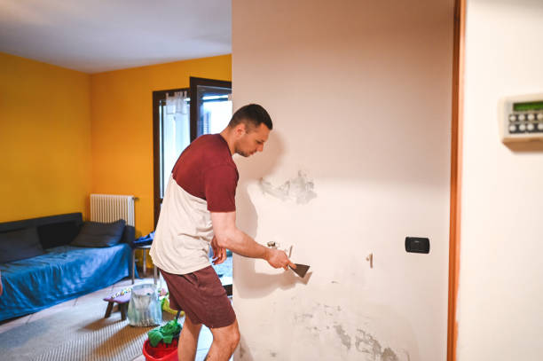 Norwich, NY Mold Removal Company